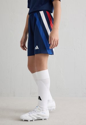 FORTORE 23 - Športové šortky - team navy blue   royal blue   white   team collegiate red