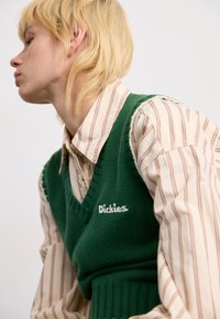 Blond oseba v prugasti majici z dolgimi rokavi, oblečena v zeleni pleteni brezrokavnik z izvezenim napisom "Dickies" na prsih, ki gleda na stran.