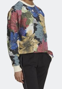Sweatshirt floral multicolore avec un col rond, des manches raglan et des poignets côtelés. Fabriqué à partir d'un tissu à texture lisse.