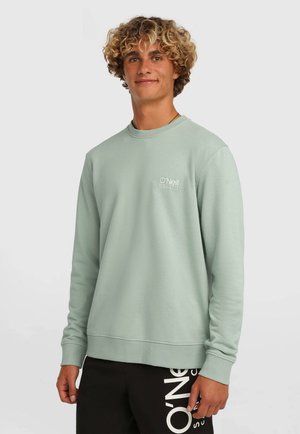 Pūderzaļš džemperis ar garām piedurknēm, ribaina apļa kakla izgriezuma un O'Neill logotipu uz krūtīm. Kombinēts ar melnām biksēm, kurām ir baltas burti.