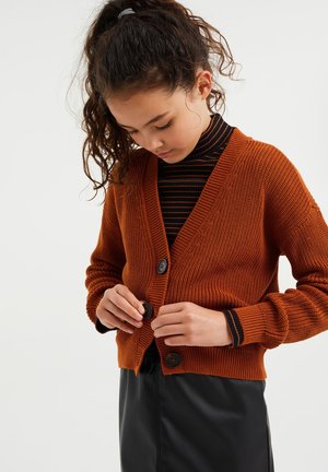 Cardigan - rust brown