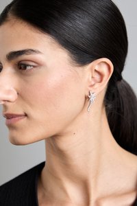 STAR TRAIL EARRINGS - Boucles d'oreilles - crystal clear
