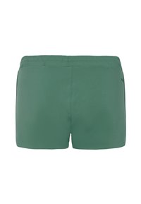 Groene zwembroek met een elastische tailleband, een gladde textuur en zonder zichtbare patronen of accenten, ontworpen voor comfort en bewegingsgemak.