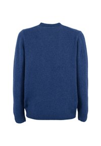 Maglione blu in lana con collo a giro, maniche lunghe e orlo a coste. Tessuto morbido, design semplice senza motivi o decorazioni.