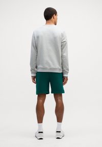 Šedá mikina s pružnými manžetami, doplněná o zelené šortky. Model má na sobě bílé ponožky a tenisky. Jednoduchý design, bez vzorů nebo akcentů.