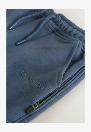 Pilkos-mėlynos sportinės kelnės su raišteliu aplink liemenį, su užtrauktukais kišenėse ir audinyje iškeltu užrašu "LTD. EDITION". Lygi tekstūra.