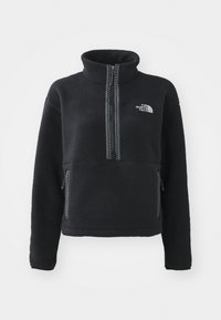 The North Face FLEESKI 1/4 ZIP - Fleecegenser - black