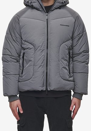 Giacca invernale - dark grey