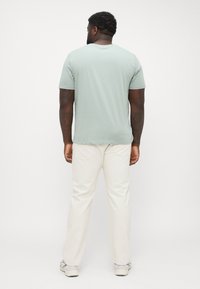 Light green short-sleeve t-shirt, relaxed fit, paired with cream-colored trousers. T-shirt has a round neckline and soft texture.
