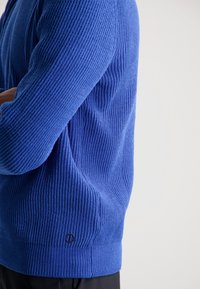 Pulover albastru cu nervuri și o suprafață texturată, având o formă adaptată și un mic logo la tiv. Tricot fin cu mâneci lungi.