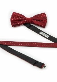 Bourgogne prickig fluga med en texturerad yta, åtföljd av ett svart justerbart band med ett metallspänne och en logotel.