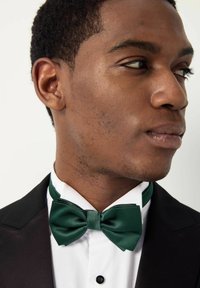 Next TEXTURED - REGULAR FIT - Fliege - green