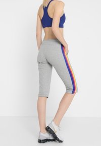 Champion Urheilucaprit - grey