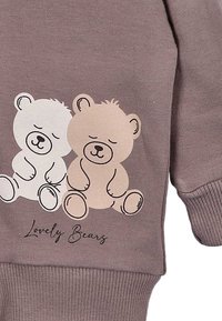 Felpa marrone con una stampa di due orsi seduti, uno bianco e uno beige, con il testo "Orsi Carini" sotto in un font corsivo.