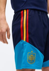 Person wearing navy and light blue shorts with red and yellow stripes and a yellow crest emblem on the light blue section.