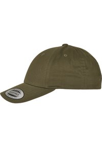 Flexfit CURVED CLASSIC SNAPBACK - Șapcă - buck