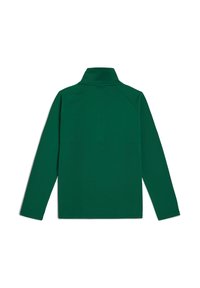 Groene lange mouwtop met een hoge kraag, gemaakt van een gladde stof. Beschikt over raglanmouwen en een minimalistisch ontwerp. Geen zichtbare hardware.