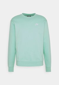 Felpa Nike verde chiaro con colletto rotondo, maniche lunghe, polsini a costine e un piccolo logo bianco sul petto. Tessuto morbido.