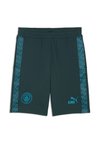 MANCHESTER CITY KING - Korte broeken - green terrain/tropical blue