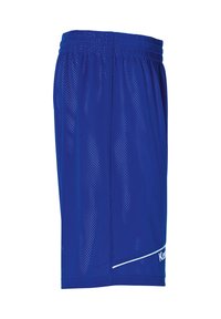 Blaue Netz-Sportshorts mit einer leichten, atmungsaktiven Textur, ausgestattet mit einem elastischen Bund und einem weißen diagonalen Akzent.