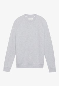 Lichtgrijs sweatshirt met een ronde hals, raglanmouwen en geribde manchetten. Gemaakt van een zachte stof met een gladde textuur.