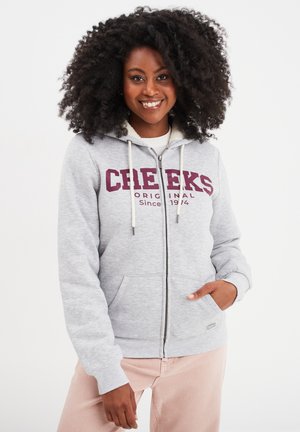 Sudadera con cremallera - gris clair