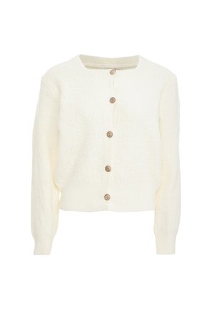 CO-BRANDED WITH CARNEA - Vest - wollweiss