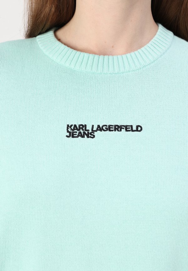 LOGO - Jumper - torquoise4