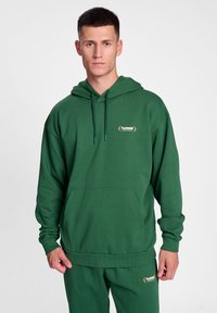 Grön hoodie gjord av mjukt tyg, med en kenguruficka, justerbara snörning och en liten logotyp på bröstet. Enkelt designad.