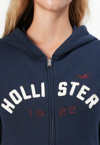 Close-up of person wearing navy hoodie with "Hollister 1922" text and bird logo embroidered on front.