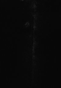 Tessuto in pelliccia sintetica nera con una texture morbida e densa, caratterizzata da una leggera lucentezza, che mostra un colore uniforme senza modelli o accenti distintivi.