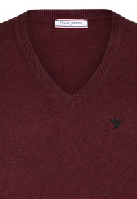 Bordeaux V-hals trui van zacht gebreid stof, met een zwart vogel logo. Ribbeldetail op de kraag en onderkant voegt textuur toe.