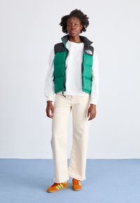 The North Face RETRO NUPTSE VEST - Liemenė - evergreen