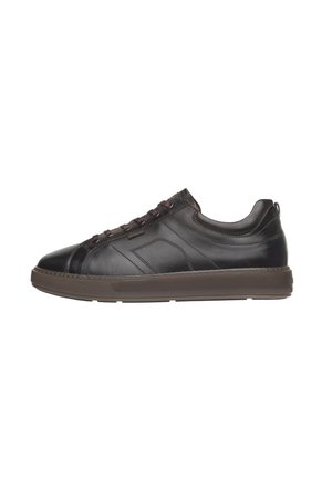 NeroGiardini Sneakers basse - caffè