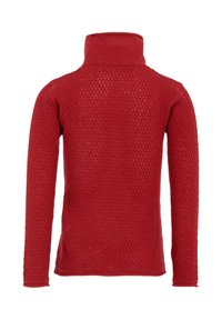 Maglione rosso a collo alto lavorato a maglia con motivo testurizzato, maniche lunghe e silhouette aderente, mostrato da dietro su uno sfondo bianco.