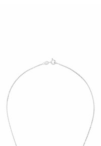 Collana in argento con un design fine e delicato, dotata di chiusura a morsetto. La texture è liscia con una leggera lucentezza.
