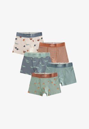 Next, REGULAR FIT - BOXERS TRUNKS 5 PACK . - Boxershort - mini safari print