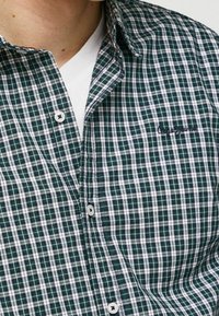 Camicia a quadri verde e bianca con colletto abbottonato, dotata di bottoni bianchi e di un logo ricamato sul petto. Tessuto leggero.