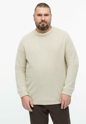Mann mit Bart und zurückgebundenem Haar, der einen beigen, gerippten Pullover und dunkle Hosen trägt und vor einem schlichten weißen Hintergrund steht.