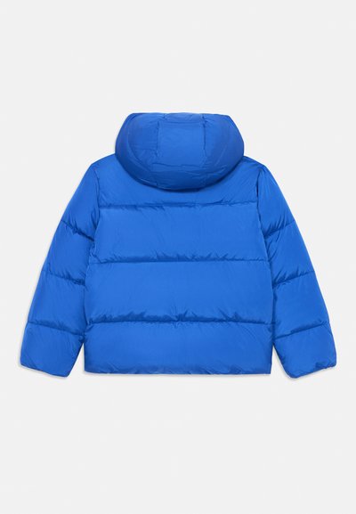 Blue puffer jacket with a hood. Features a quilted design, smooth texture, and elastic cuffs. The back is simple with no additional accents.