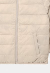 Abercrombie & Fitch Zimní bunda - beige
