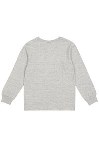Graues Langarmshirt aus weichem Baumwollmix, mit Rundhalsausschnitt und gerippten Bündchen. Die Rückansicht zeigt eine glatte, unifarbene Textur.