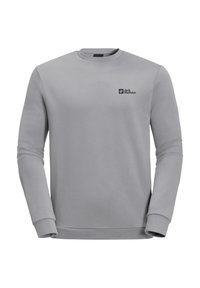 Felpa grigia realizzata in tessuto morbido, con maniche lunghe e collo rotondo. Un piccolo logo nero è visibile sulla parte superiore sinistra.