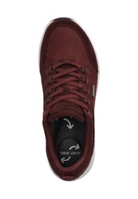 Josef Seibel ELLI - Sneakers basse - bordeaux