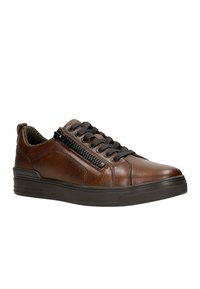 Wojas Sneaker low - ciemny brąz
