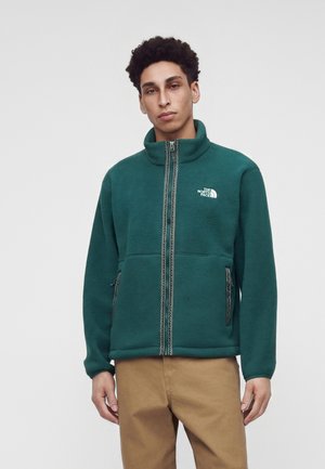 Млад мъж, облечен със зелен пухкав суичър с цип и логото на The North Face, съчетан със светлокафяви панталони на обикновен фон.
