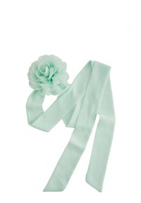 Non sélectionné, mint green