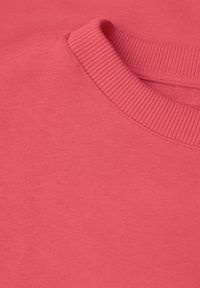Koraalkleurige sweatshirt met een gestructureerde ribbelboord, gemaakt van zachte stof, met een gladde oppervlakte en subtiele stikdetails.