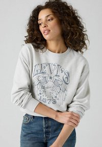 Grijze sweatshirt met een grafische print van een adelaar en sterren, lange mouwen, ronde hals, ontspannen pasvorm en zachte katoenen stof.