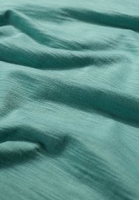 Seasalt Cornwall TREMAYNE QUAY - Majica z dolgimi rokavi - green sage leaf